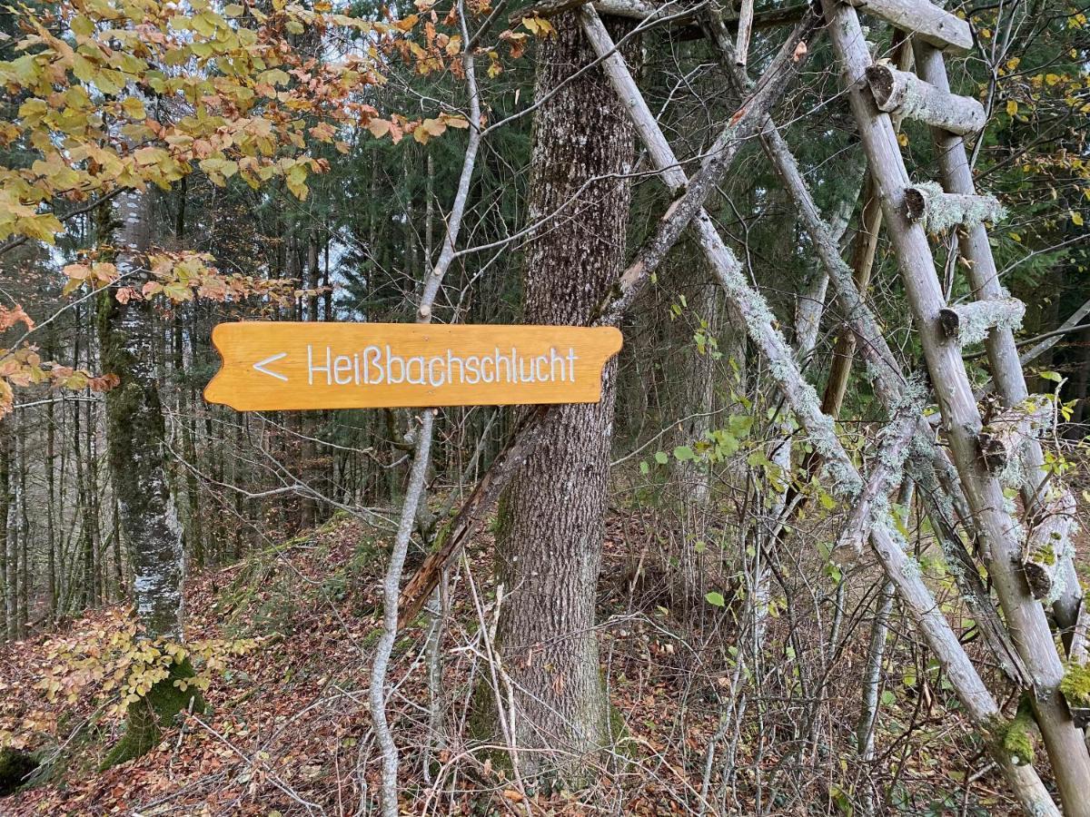 Ferien-Apartment Im Genusshotel Hirschen Kleines Wiesental 外观 照片