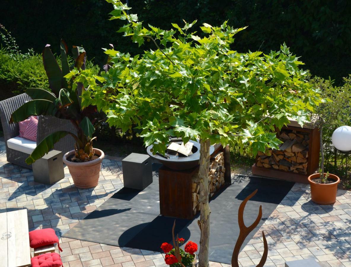 Ferien-Apartment Im Genusshotel Hirschen Kleines Wiesental 外观 照片