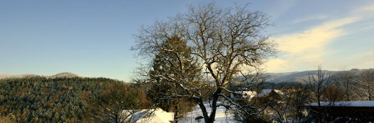 Ferien-Apartment Im Genusshotel Hirschen Kleines Wiesental 外观 照片